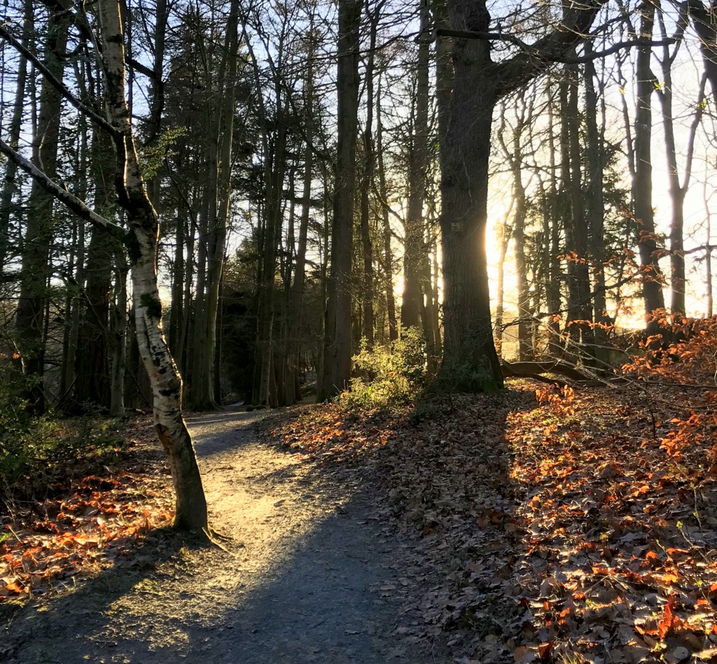 IreneSandraD's tweet photo. A beautiful, sunny walk today along the top path by the #Strid, coffee at the #CavendishPavilion #BoltonAbbey and returning on the lower path. Gorgeous! @IamHappyHiker @AllAboutYorks @WalkinYorkshire @yorkshire_from @paul_steele https://t.co/CckA8fNzTm