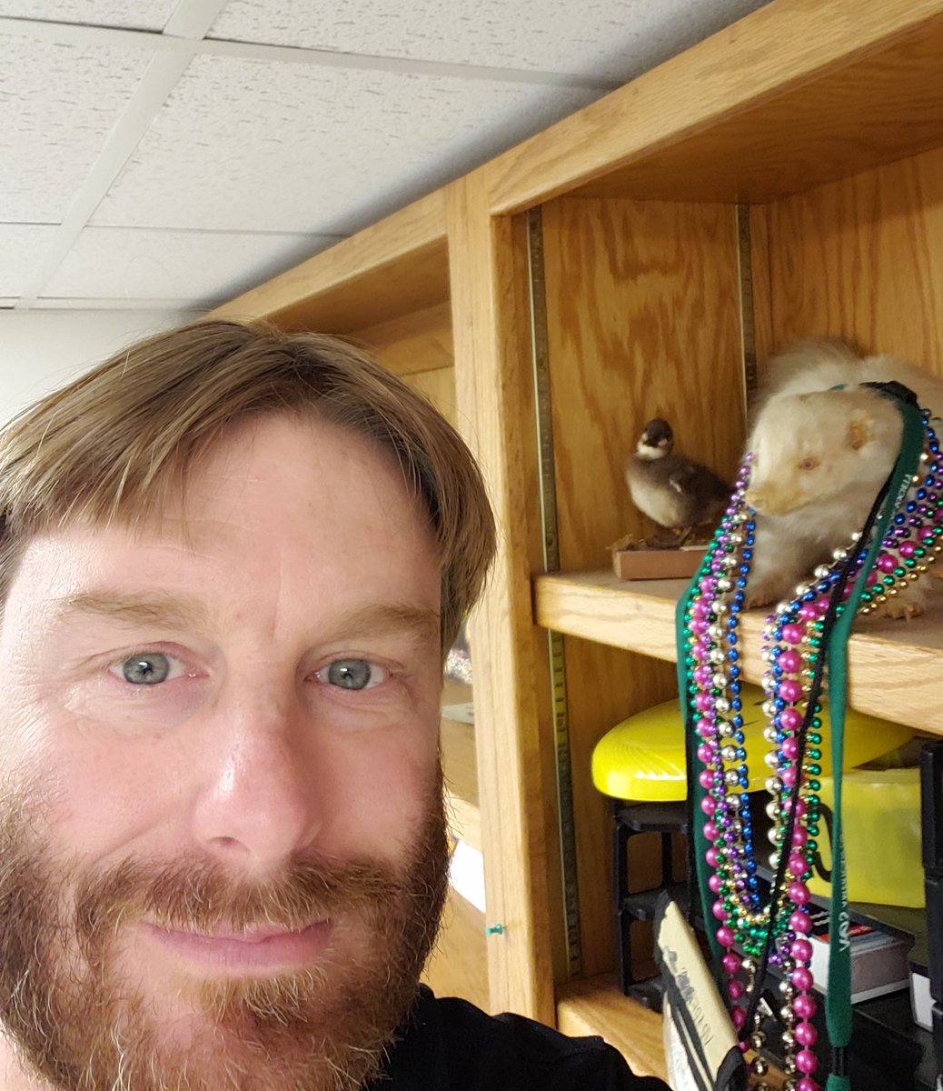 My #MuseumSelfie in my office in the basement of the @LSU_MNS with my office buddies for #MuseumSelfieDay
