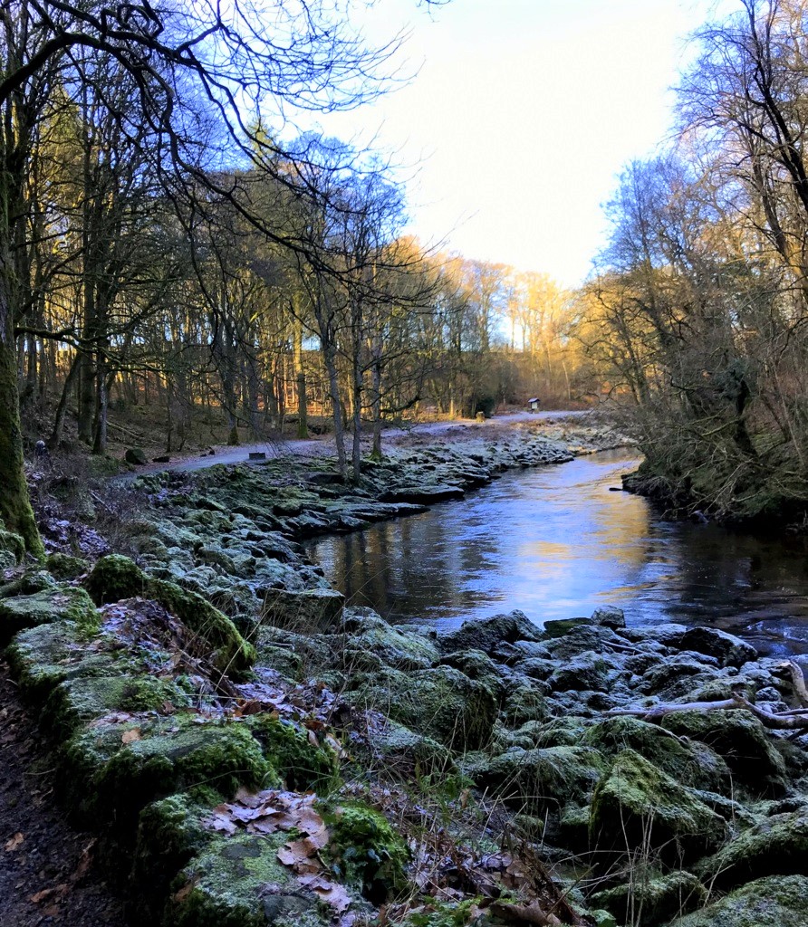 IreneSandraD's tweet photo. A beautiful, sunny walk today along the top path by the #Strid, coffee at the #CavendishPavilion #BoltonAbbey and returning on the lower path. Gorgeous! @IamHappyHiker @AllAboutYorks @WalkinYorkshire @yorkshire_from @paul_steele https://t.co/CckA8fNzTm