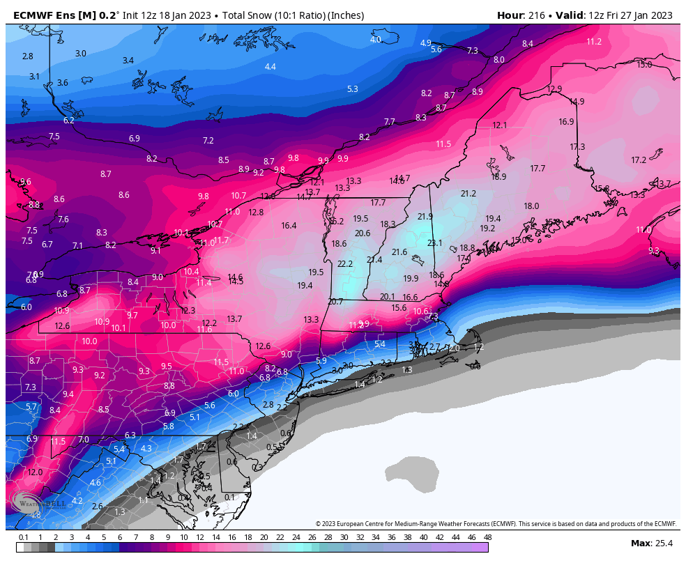 Will Ciccone tweet media