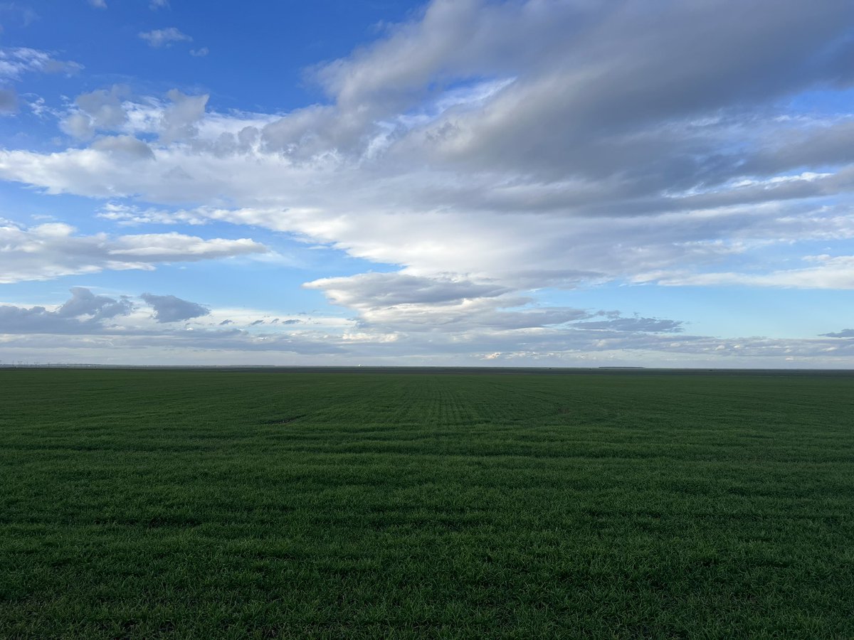 StefanStanescu's tweet photo. #Wheat2023 https://t.co/ipDTZEYI9w