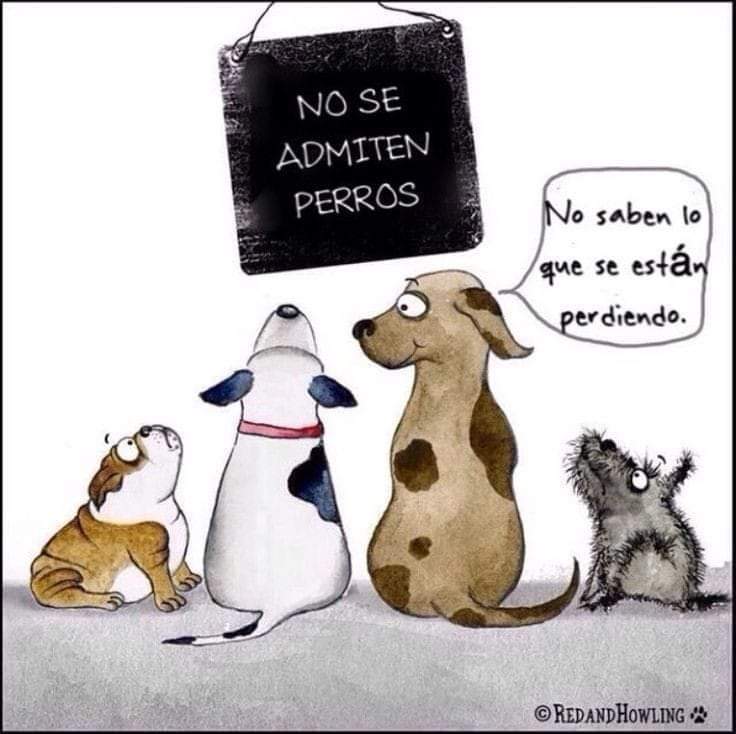 #AdoptaYSalvaUnaVida 

#AdoptaNoCompres 

#Noalmaltratoanimal