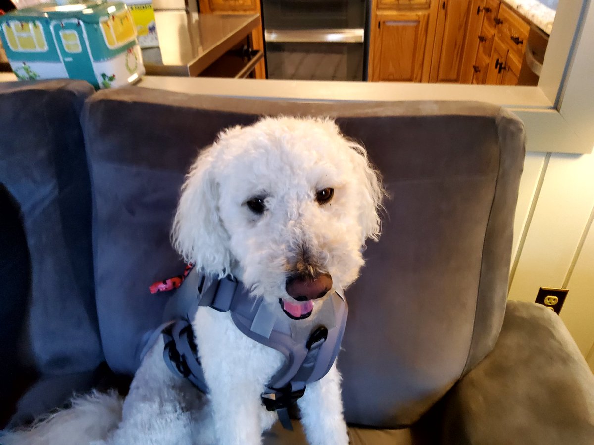 Thank you Governor Wolf for your service to Pennsylvania,Your leaving with PA having a great budget.Welcome Governor Shapiro!