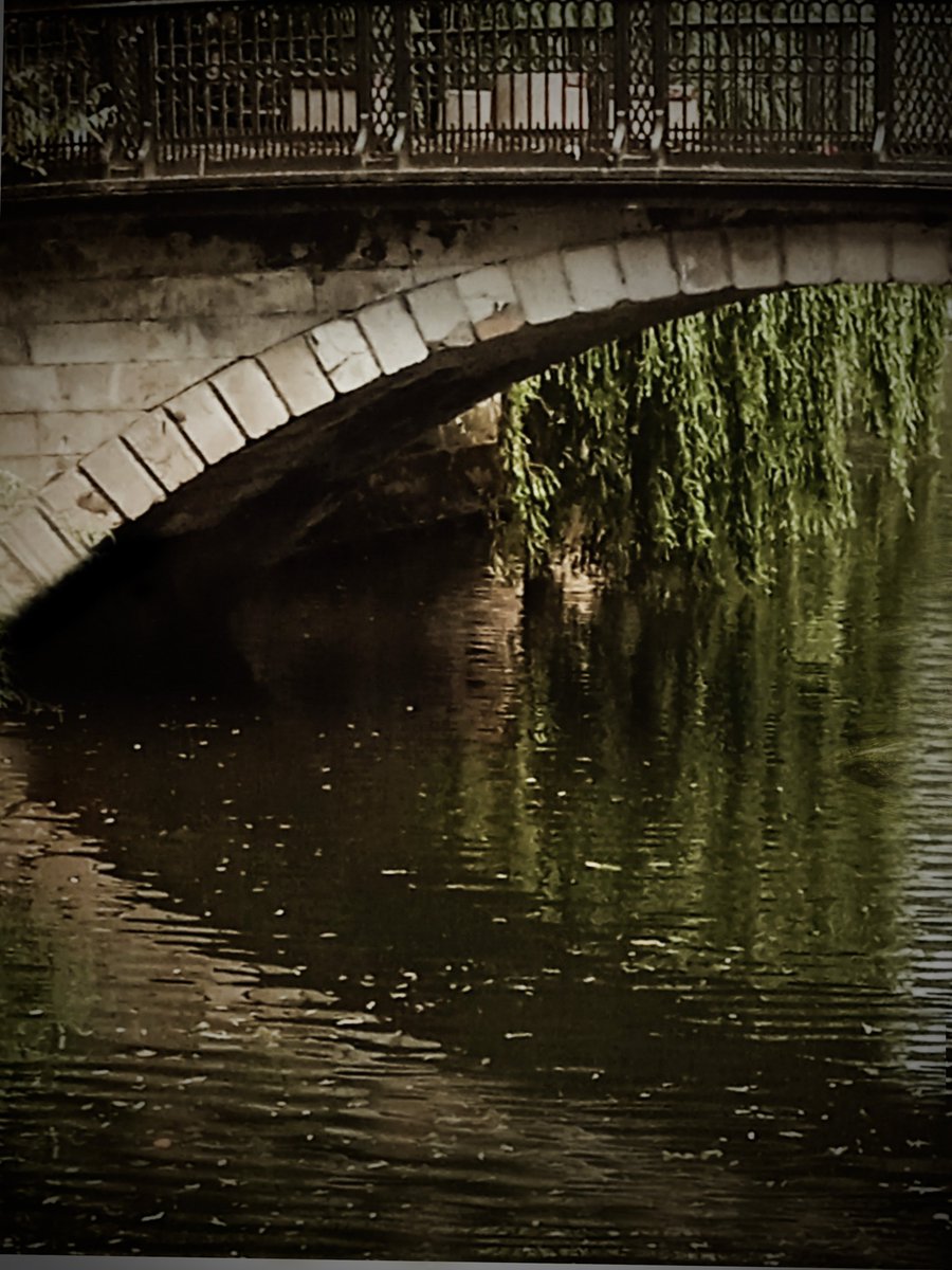 Good Night #NFTFam Have a wonderful night !