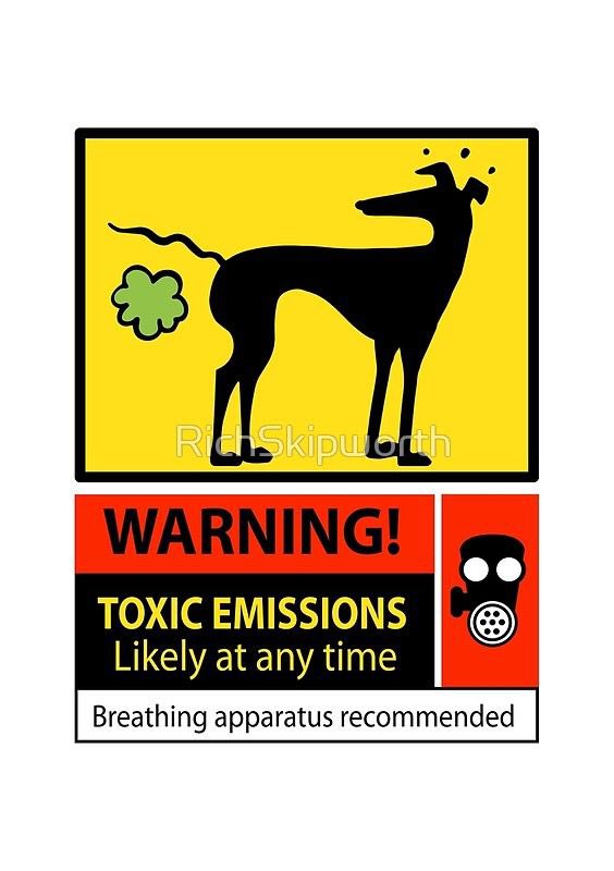 cathknibbs tweet media