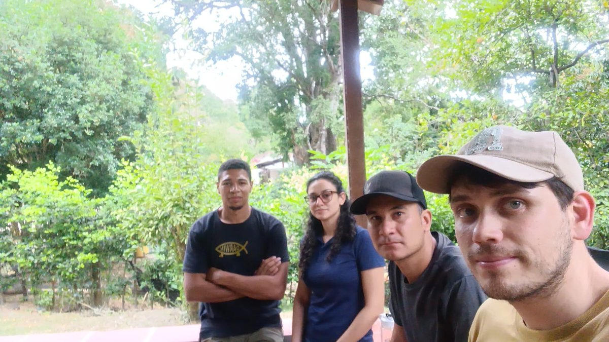 EcoevUdea's tweet photo. Nuestro grupo vuelve al trabajo monitoreando #aves focales en #ProyectoItuango
@FCENUdeA
Back to work monitoring focal #birds in #ProyectoItuango https://t.co/xr8m6QbkRM