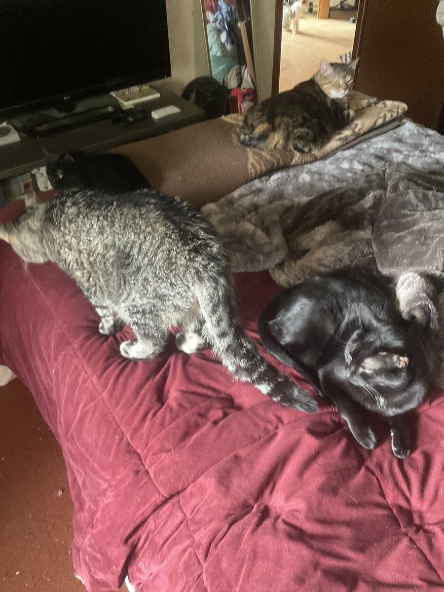 othrunner99's tweet image. 