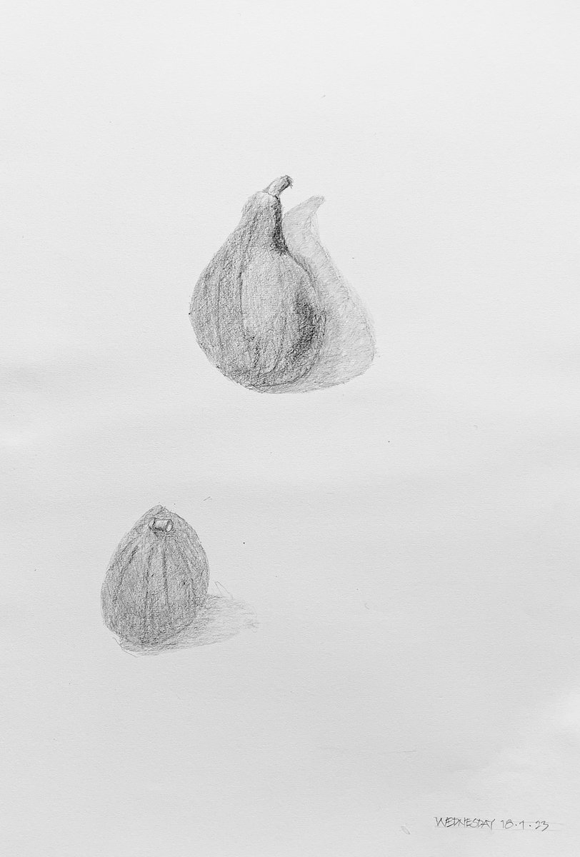 First figs of the season from our tree. Graphite in sketchbook. #artoftheday #artistsontwitter #botanicaldrawing #dailyart #graphitedrawing #figdrawing