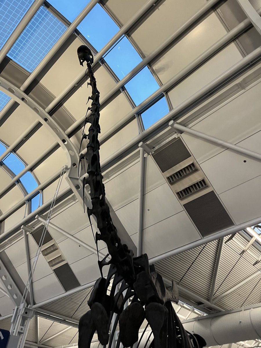 ViatorMisterP's tweet photo. With any luck, not the last set of dinosaur bones we’ll be seeing on this trip! #March4Life! #FightExtinction https://t.co/oqzyghmkvX