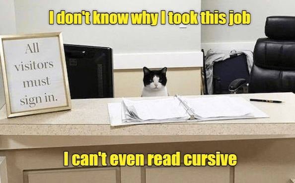 #cats #worklife #officelife #officecats #catswithjobs #funny #cursive