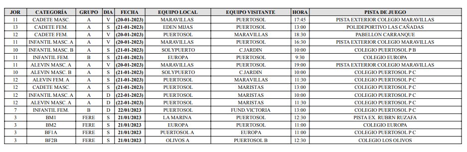 Balonmano Puertosol tweet media