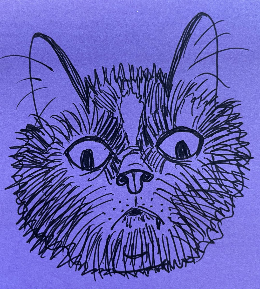 shippo and shippo drawing