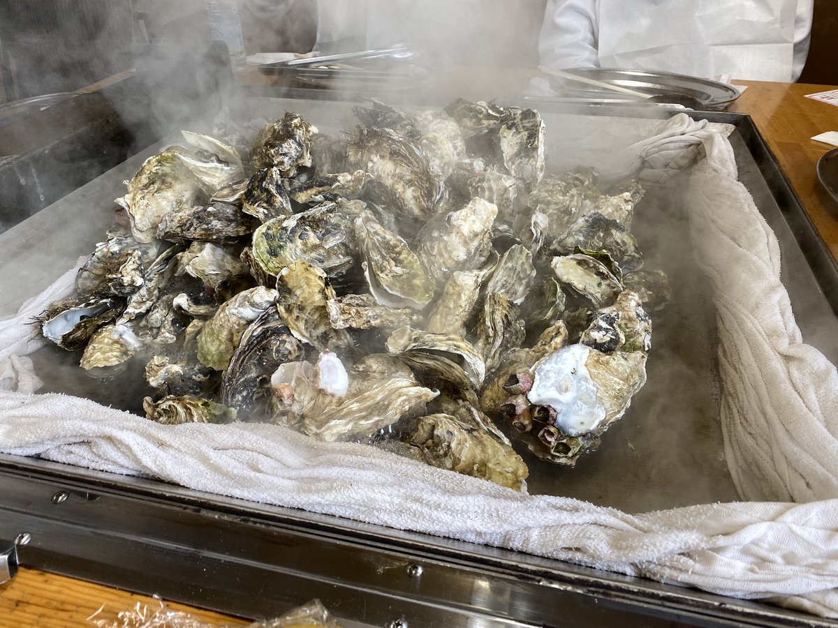 jasminehirohiro's tweet photo. 控えめに言って、最高です♪
#松島観光協会　#かき小屋　#松島　#食べ放題　#お腹苦しい　#牡蠣　#おいしい　#また行きたい　#待った甲斐があった https://t.co/kMI0cpR3Md