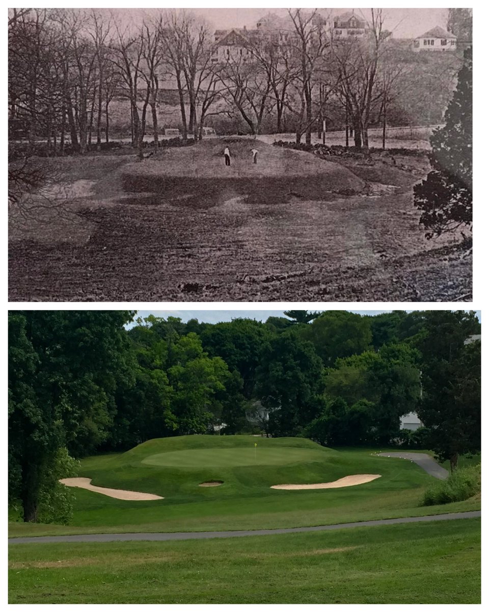 Jed Moller tweet media