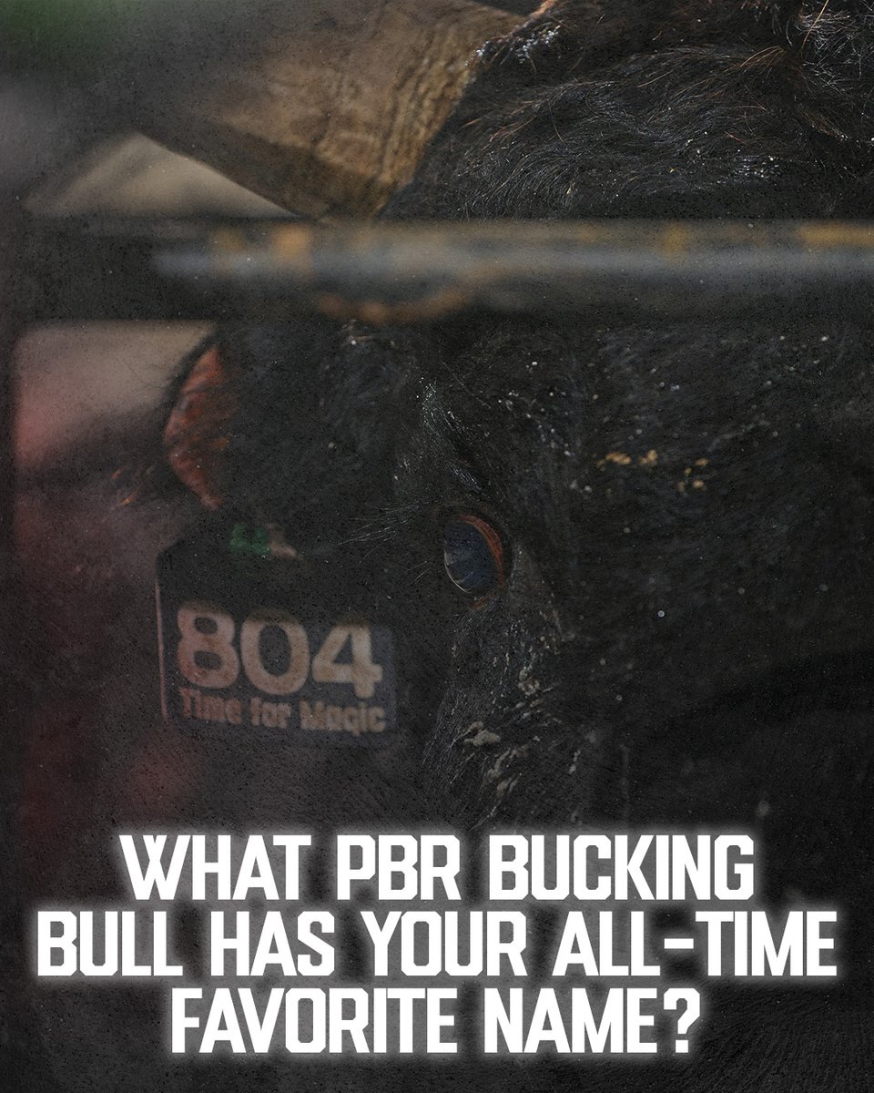 PBR tweet media