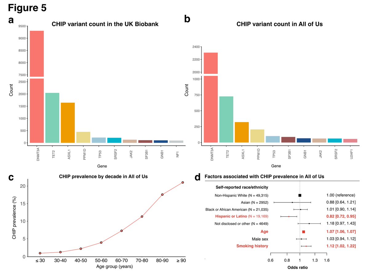 Our paper demonstrating an approach to CHIP curation in large datasets is now out in Blood (@BloodJournal)! 🩸

We identify CHIP in &gt;500,000 individuals and show how common challenges such as sequencing artifacts and germline variants can be addressed.

ashpublications.org/blood/article-…