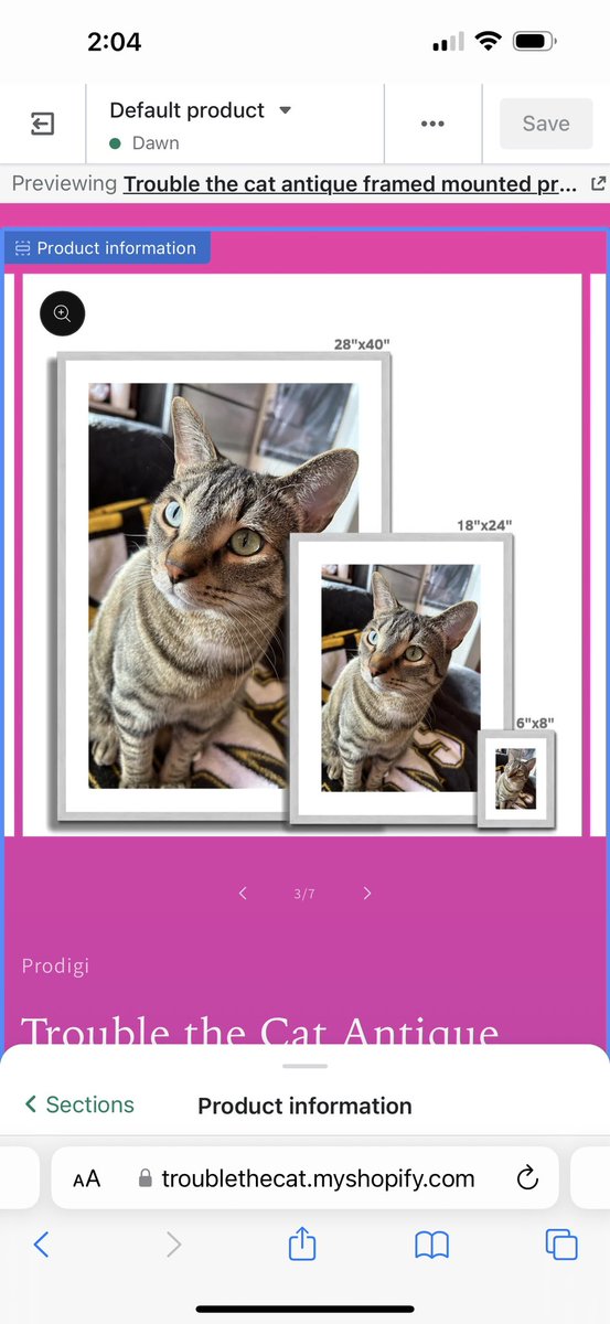 We created a website where we sell Trouble merch. I had to leave my job due to a likely terminal illness. We need help to raise money for February upcoming rent. Anything bought in the shop is appreciated. Please retweet1/comment to boost Here’s the link: troublethecat.ca