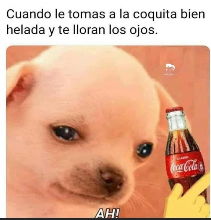 🌸la chokita🌸 tweet media