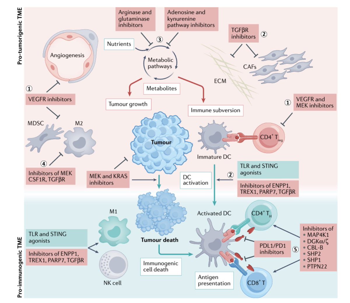 🚨 The expanding role for small molecules in IO. 

🔔 Recent milestones and hurdles encountered in this area of drug development. 

‼️ Update on the application of small-molecule drugs in the context of IO treatments. 

👉🏻 doi.org/10.1038/s41573…

#IO #tki #cancertherapies