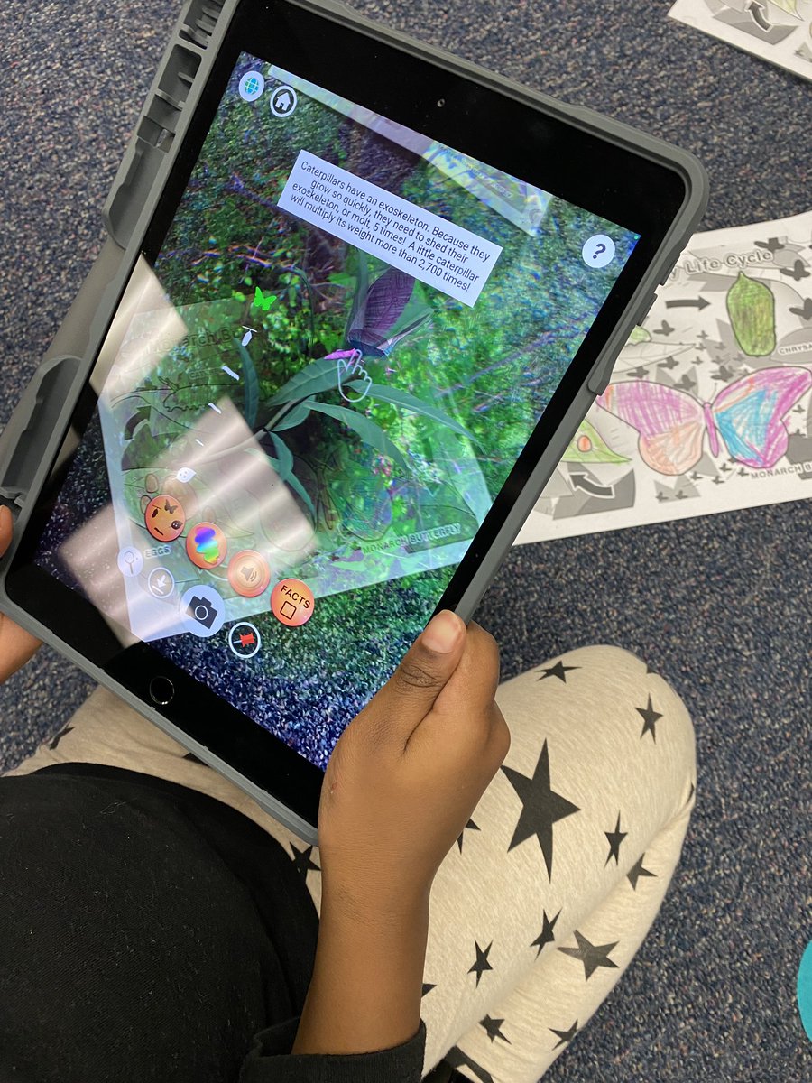 First graders continued learning about the life cycle of a butterfly with <a href="/quivervision/">QuiverVision</a>