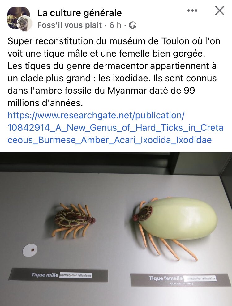 ✨SystèmeATique tweet media