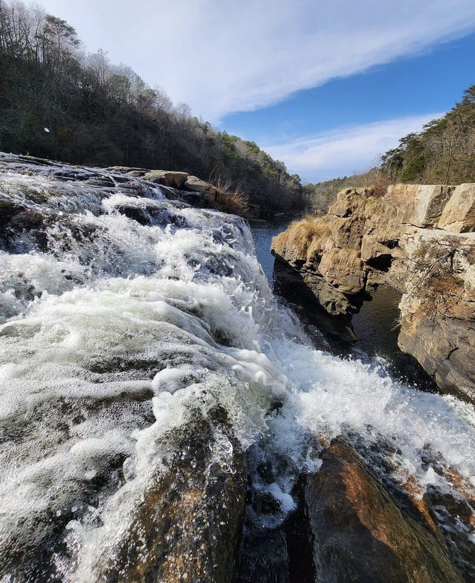 visitnorthal's tweet photo. If you plan on visiting @lakegvillesp for the Eagle Awareness Weekend this weekend, make sure to visit High Falls Park, which is not too far up the road!
#visitnorthal #highfallspark #highfalls #waterfalwednesday #eagleawarenessweekend
๐ธ: @kimberly.tweed.71 https://t.co/dhwIlQoG2I