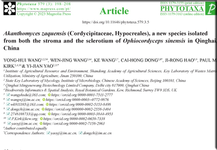 Phytotaxa's tweet photo. Akanthomyces zaquensis (#Cordycipitaceae, #Hypocreales), a new species isolated from both the stroma and the sclerotium of Ophiocordyceps sinensis in #Qinghai, #China
https://t.co/ClLnuMuIRP https://t.co/SxmheN9a6Z