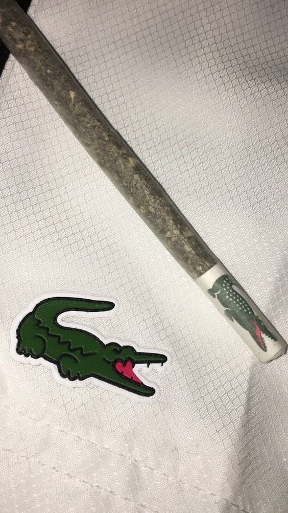 SPACECANNABIS's tweet photo. piteira da lala https://t.co/8q5RbDFT4c