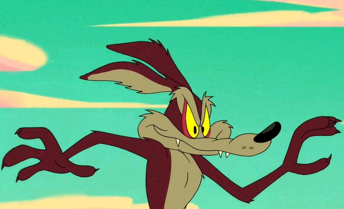 Crash | Huge Wile E simp 🐺 on Twitter: "Nobody understands him like I