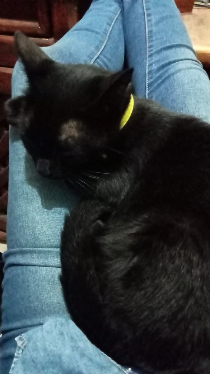 AnnDi CamACho tweet media