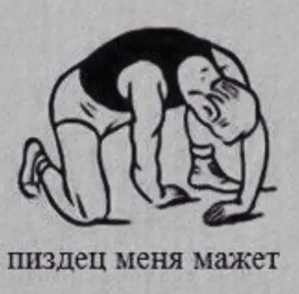 а как спит рыба..?