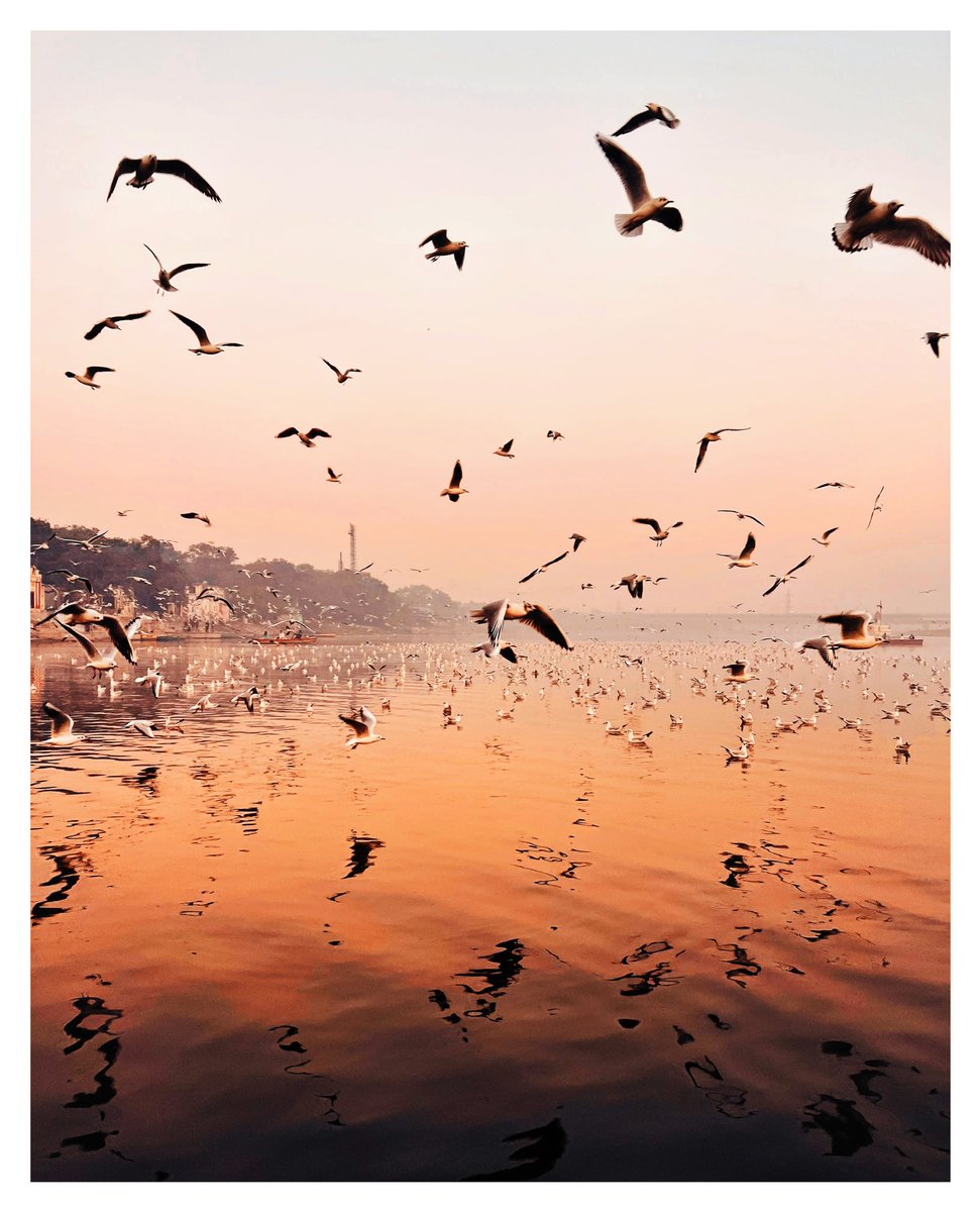 ioegreer's tweet photo. delhi #shotoniphone https://t.co/4qewhJdTPr