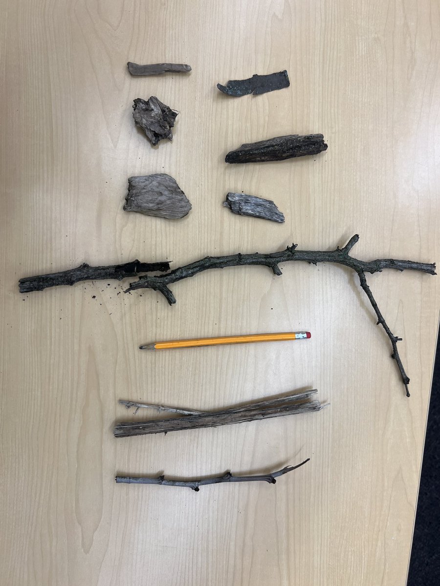 Aileen Myer tweet media