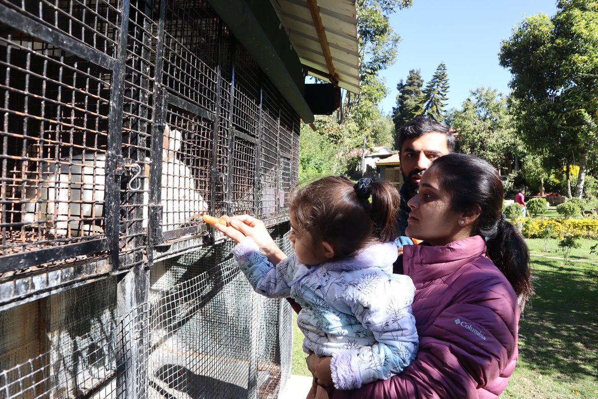 HotelKodai's tweet photo. It's a beginning of a beautiful friendship ❤
Come play, pet, and feed our happy rabbits at the #bunnyhouse 🥕🐇
#hotelkodaiinternational #rabbit #rabbitlove #rabbitfeed #rabbitlife #bunny #bunnies #bunniesofinstagram #bunnybunny #nature ##familyvisit #animals #feeding https://t.co/qmWafGZSW5