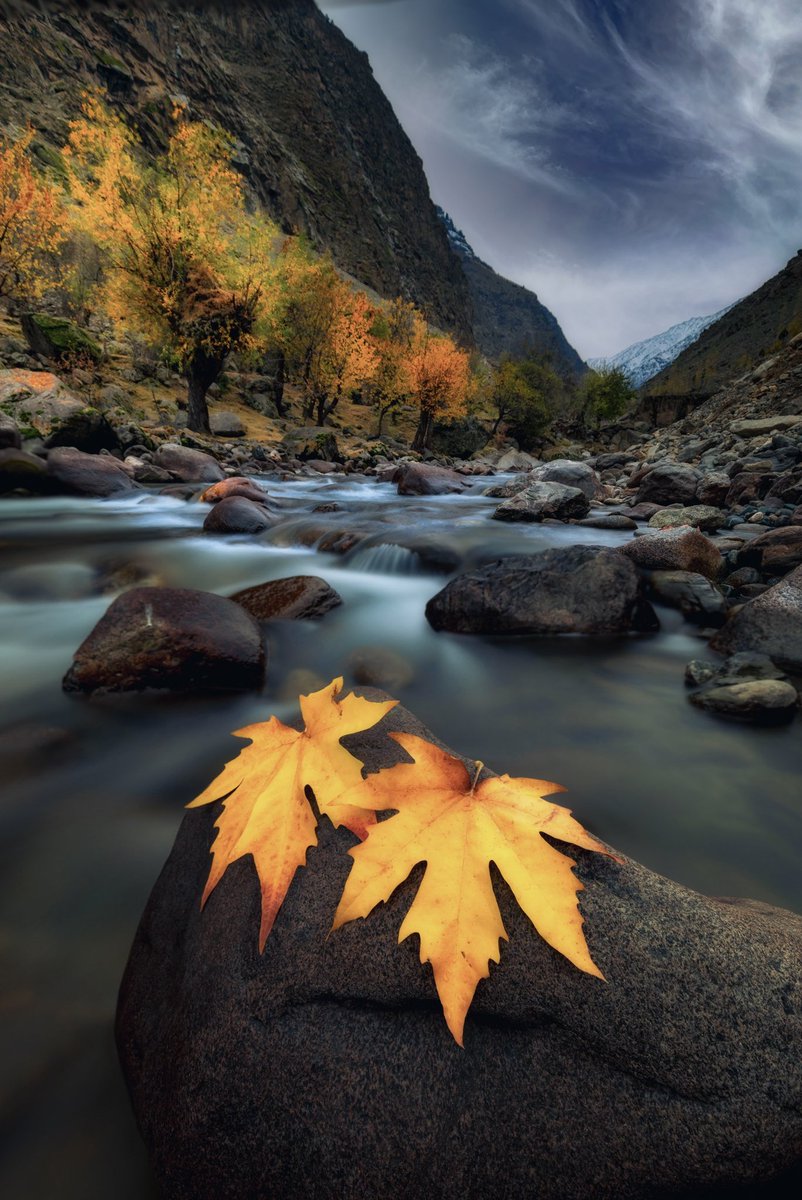 Haesum Ali 👷♂️📸 tweet media