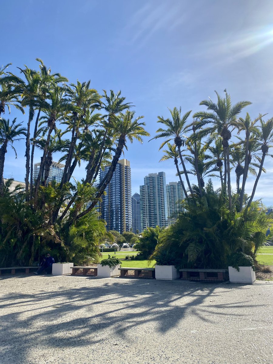 jasminecbs8's tweet image. #SanDiego the past few days