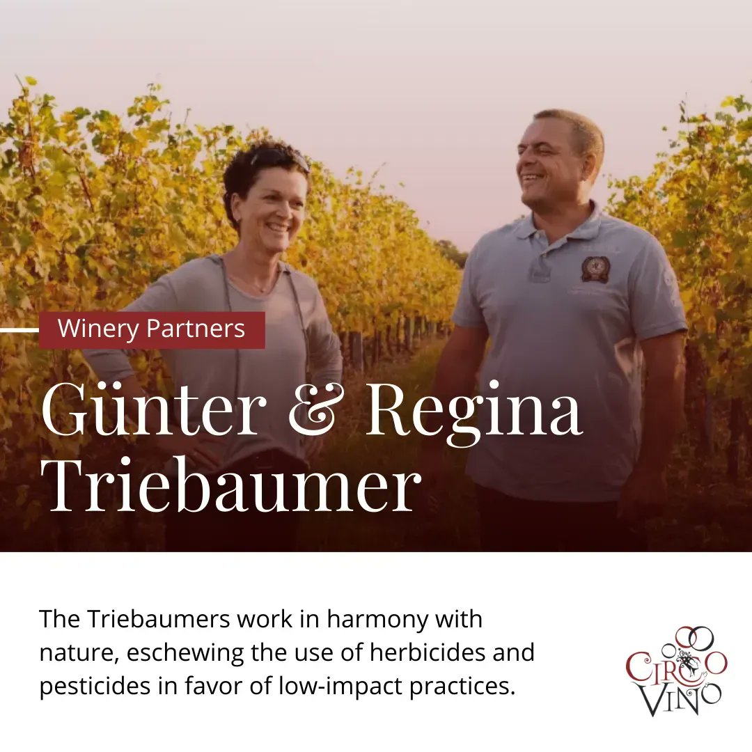 By combining modern thinking with old-school respect for nature, Günter and Regina have upheld the Triebaumer legacy and brought it into the 21st century with grace.

🍷 Reach out to us on circovino.com

#circovino #withthewinecircus #wine #wineimporter #win…