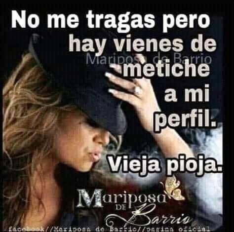 AimeDeRo tweet media