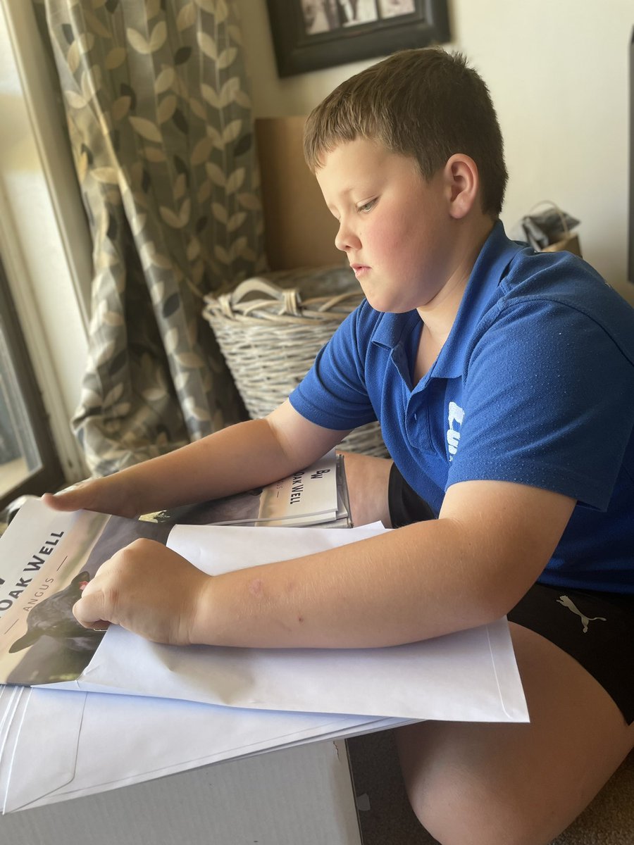 Bull Oak Well Angus tweet media