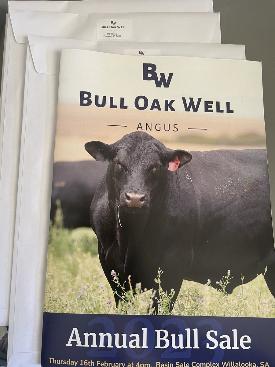 Bull Oak Well Angus tweet media