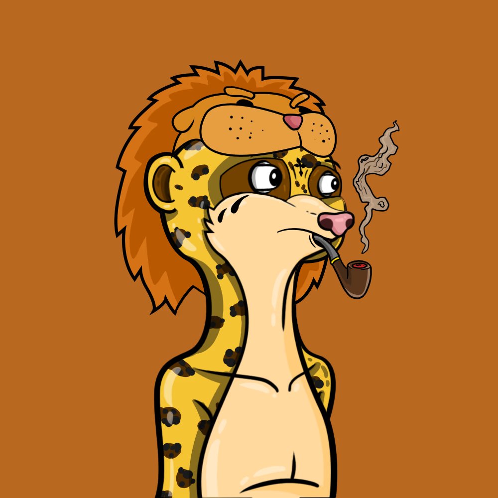 I've been supporting <a href="/Mighty_Meerkats/">Mighty Meerkats</a> since a while now. It's a mix on some Kongz, bears and Sappy seals holders where @NFTEINSTEIN gives us alpha 🗒️

Currently ~60 left to be minted (333) at .025 

⚠️For the next 5 mints I will match your mint with an extra meerkat, 1/person⚠️👇