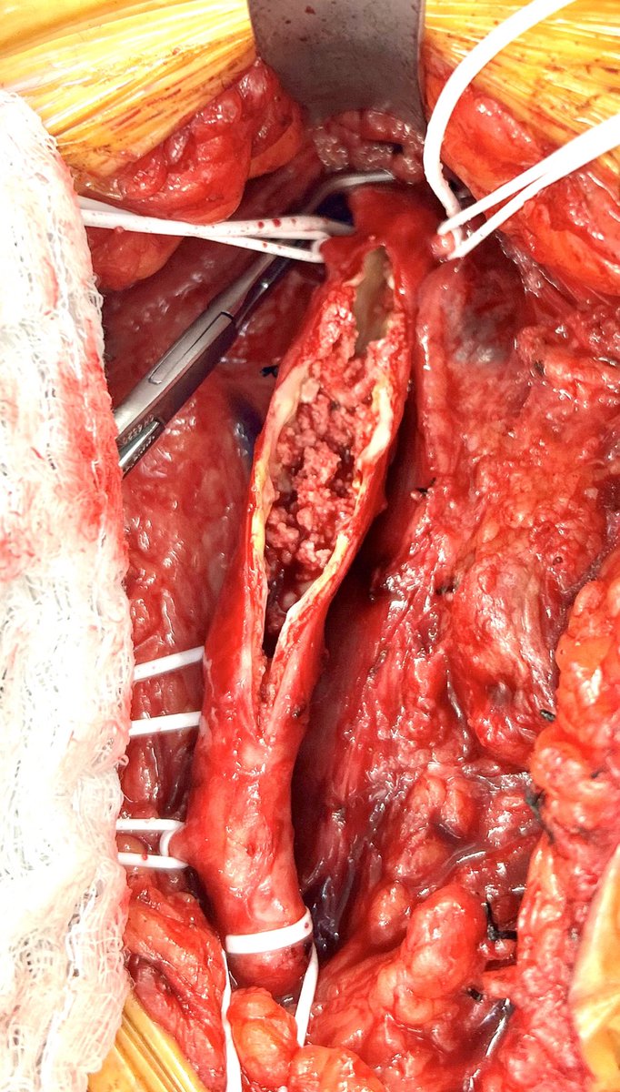 Patrick Geraghty tweet media