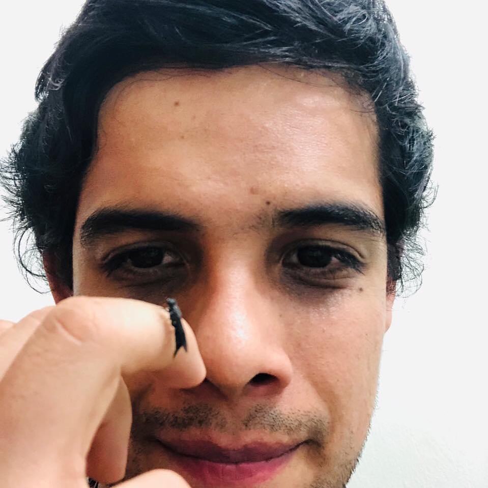 Ing. Eduardo Lama contempla a la generación mejorada del insecto Hermetia illucens: su etapa larval es utilizada como fuente de proteína sostenible para alimentar animales.

#Seguridadalimentaria #entopiruw #eduardolama #domadordeinsectos #hermetiaillucens #blacksoldierfly #bsf