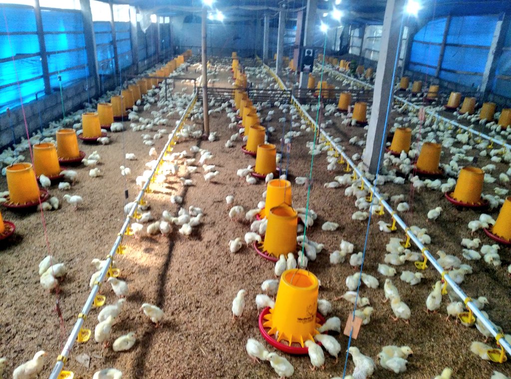 ratihtyaa's tweet image. Selamat Pagi ayam-ayam ku 🔥🔥 #U07