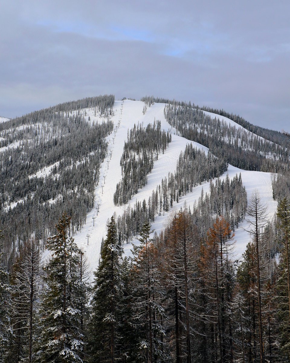 skilookout's tweet photo. 1-18-2023 Beautiful day - Sun made a cameo. Groomers laid down sweet corduroy &amp; Eagle Peak offered views for miles. Tonight adds 2 inches of snow. DEAL: Bring a Friend on Thursdays &amp; get 2 Tickets for $75. SCORE! 

#SkiNWRockies #VisitMontana #SkiMT #OptOutside #18Winters #SkiID https://t.co/KuzkOnvQsF