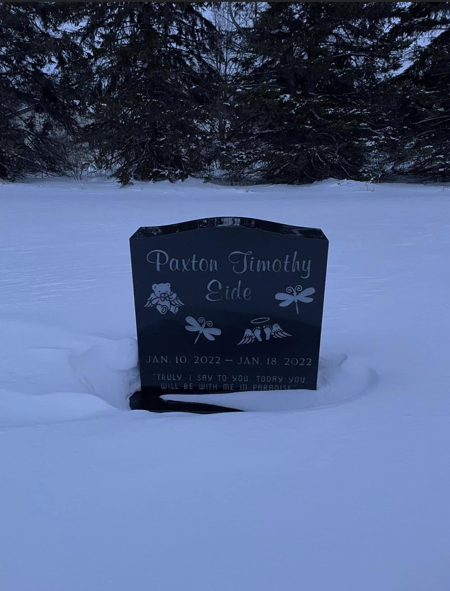 Layton Eide tweet media