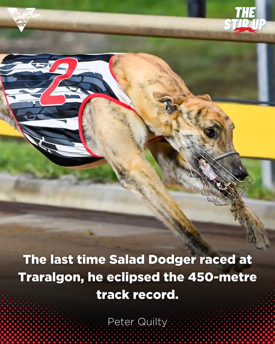 WatchDogRacing's tweet photo. What about an encore!?
SALAD DODGER prepared for Friday night's heats of the Group 2 #TraralgonCup by thrashing his rivals last start in a record-breaking performance.
Peter Quilty previews other heats in #TheStirUp 👇
📰 https://t.co/1eMpJUDGsE
#GreyhoundRacing https://t.co/VtbVxCrN02