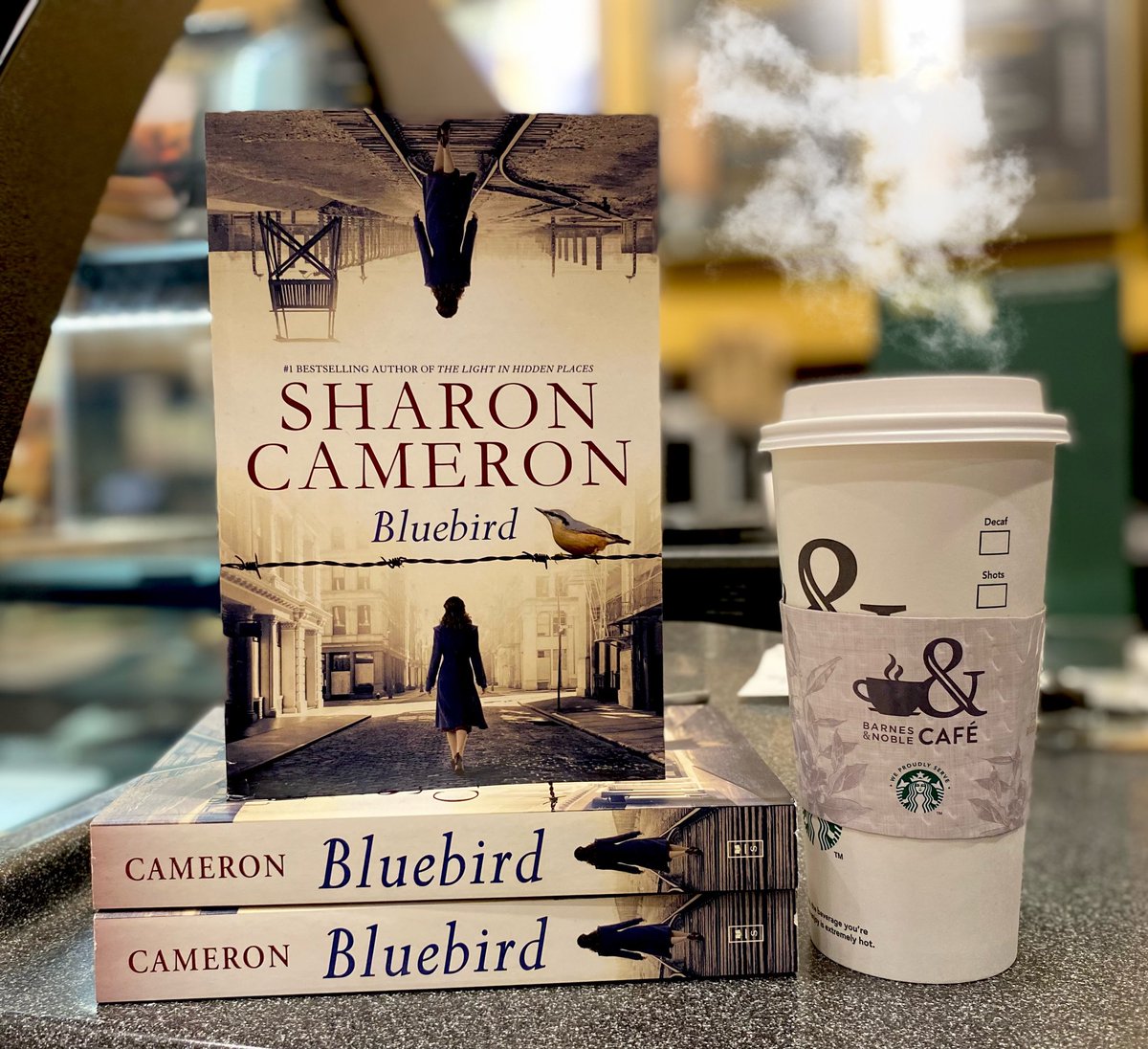 Calling all #historicalfiction fans! Our Hot #Coffee pick this month is Bluebird by #SharonCameron and it is packed with action! Bluebird is only $5 with a purchase of any #cafe consumable.
#yabooks #books #bncafe