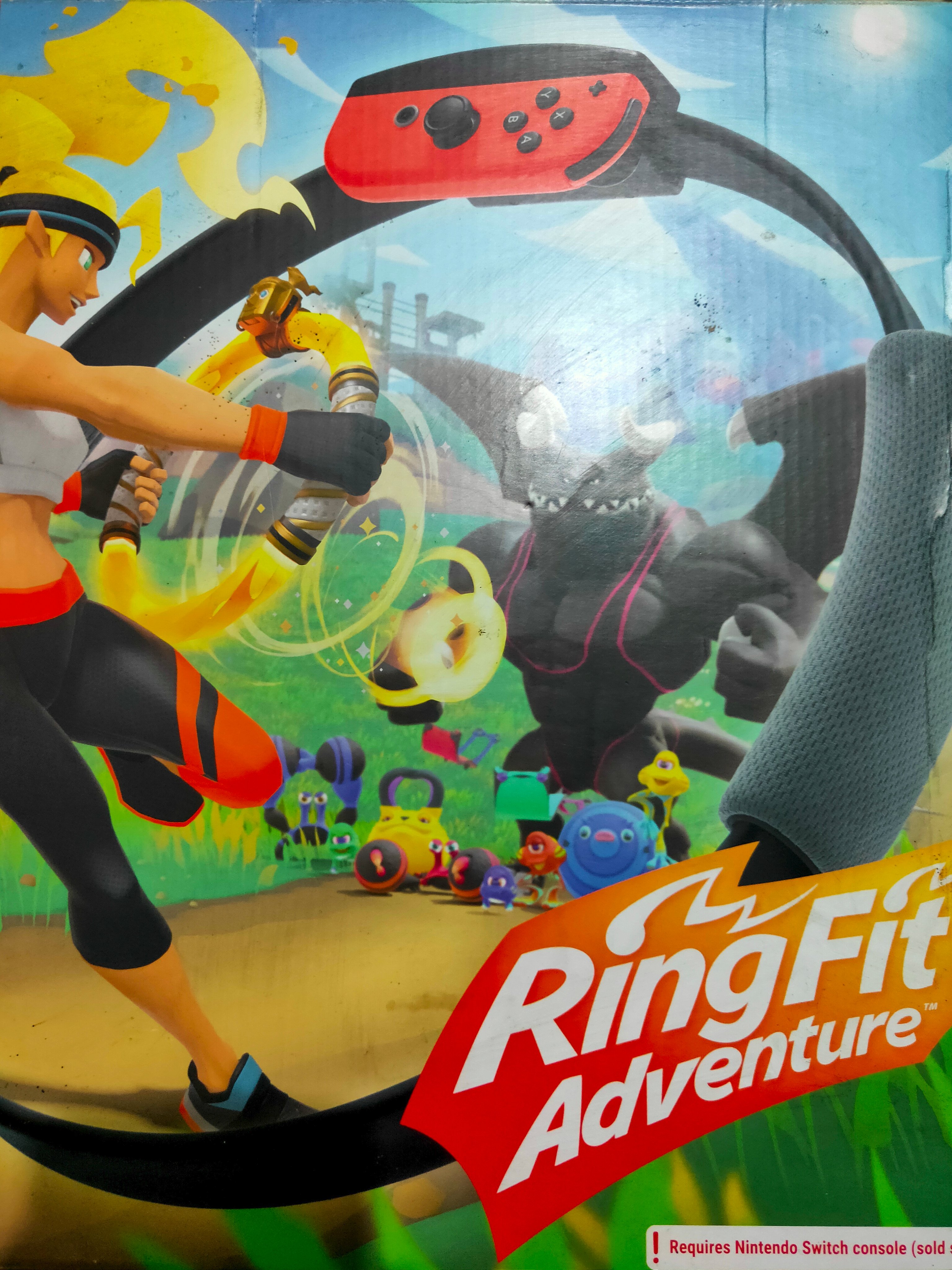 Ring fit adventure cartridge only sale
