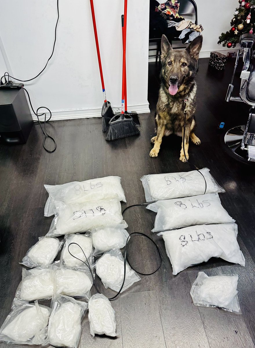 LAPDCARRANZA's tweet photo. Your #GND #LAIMPACT Group 4 & #K9 #Keisa Seized 50 pound of #Meth $2.4M street value. Doing their part to reduce deaths, overdoses, violent & property crime. The relentless pursuit continues! #LAPD #ComplyNowComplainLater https://t.co/ig3LzHd2lv